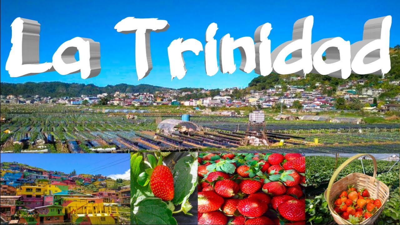 https://mdw-travel-data-us-east-1.s3.amazonaws.com/img/country/Philippines/Benguet-Strawberry-Farm/img_02.jpg