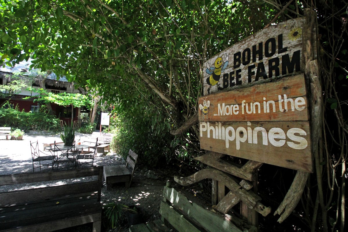 https://mdw-travel-data-us-east-1.s3.amazonaws.com/img/country/Philippines/Bohol-Bee-Farm/img_01.jpg