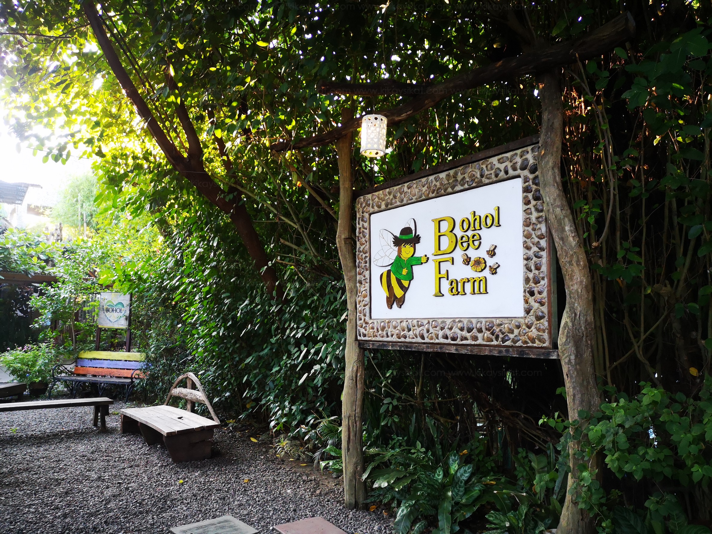 https://mdw-travel-data-us-east-1.s3.amazonaws.com/img/country/Philippines/Bohol-Bee-Farm/img_03.jpg
