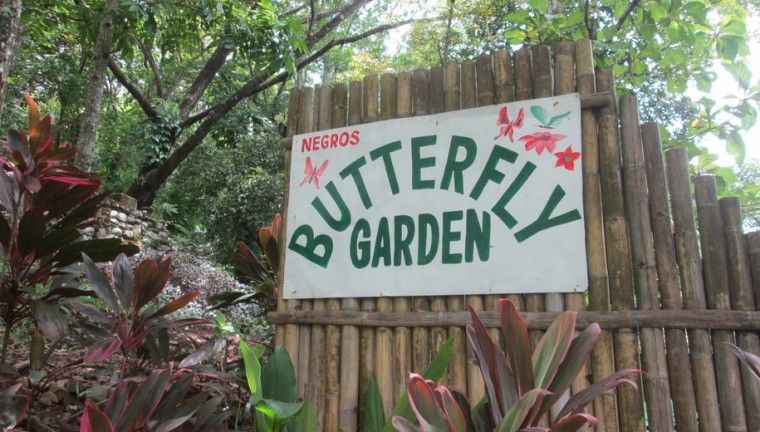 https://mdw-travel-data-us-east-1.s3.amazonaws.com/img/country/Philippines/Boracay-Butterfly-Garden/img_02.jpg
