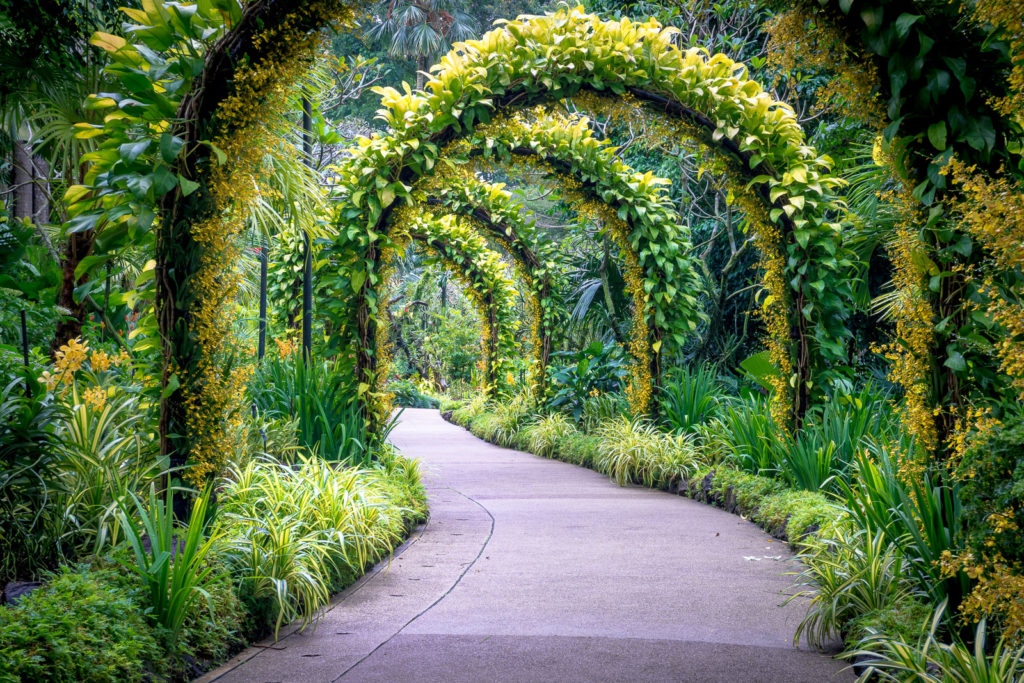 https://mdw-travel-data-us-east-1.s3.amazonaws.com/img/country/Philippines/Botanical-Garden/img_01.jpg