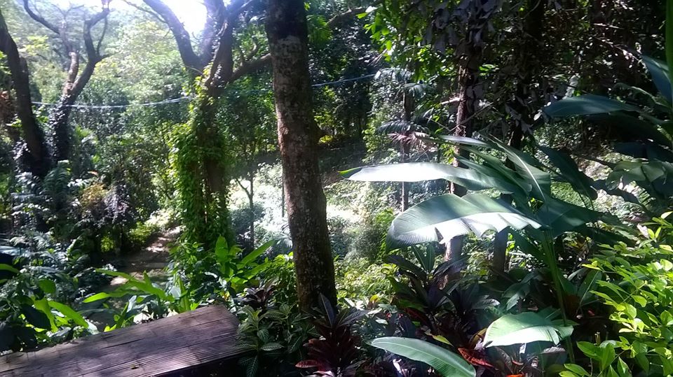 https://mdw-travel-data-us-east-1.s3.amazonaws.com/img/country/Philippines/Botanical-Garden/img_02.jpg