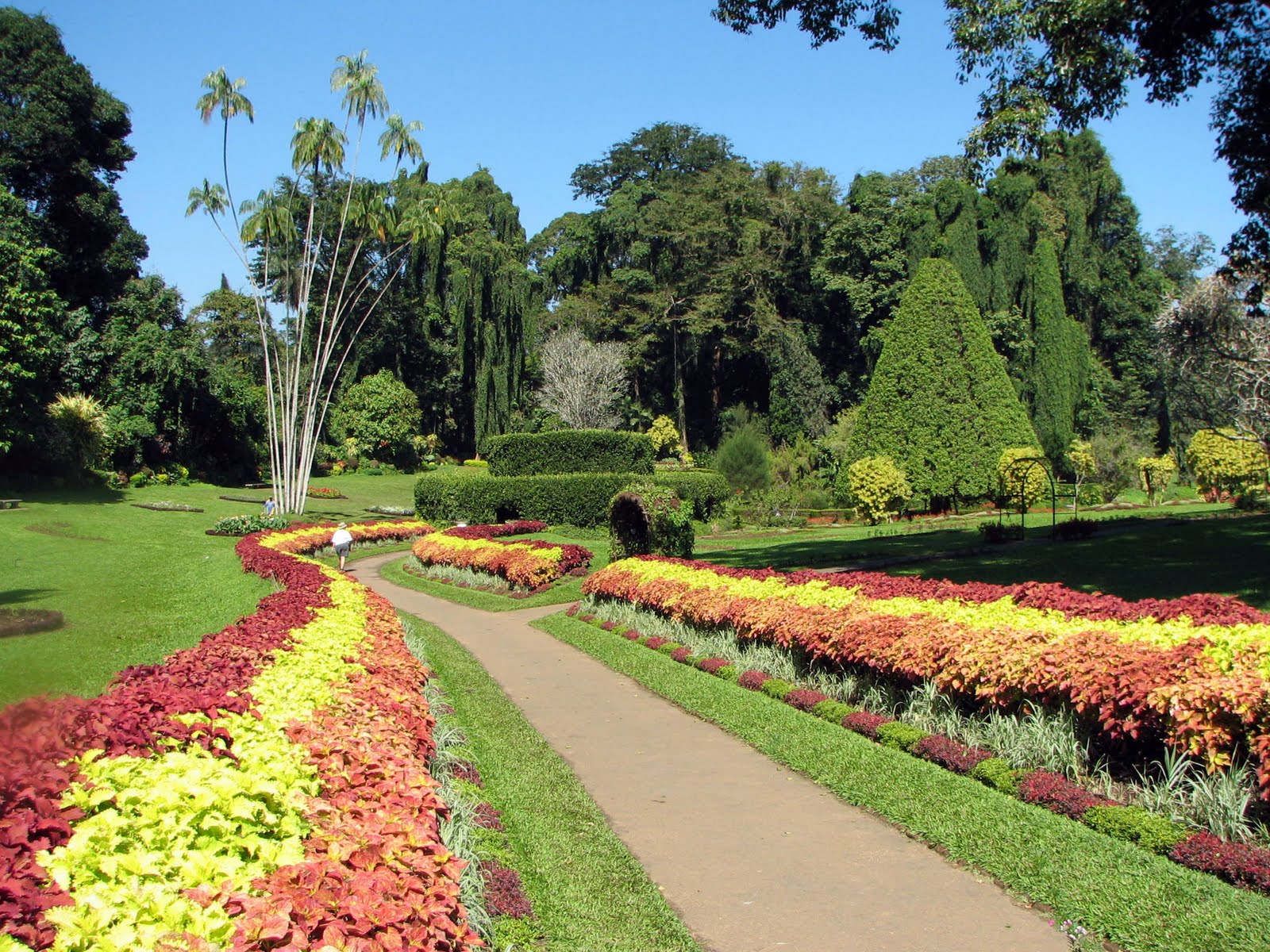 https://mdw-travel-data-us-east-1.s3.amazonaws.com/img/country/Philippines/Botanical-Garden/img_03.jpg