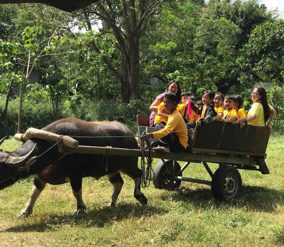https://mdw-travel-data-us-east-1.s3.amazonaws.com/img/country/Philippines/Braggai-Farms/img_02.jpg