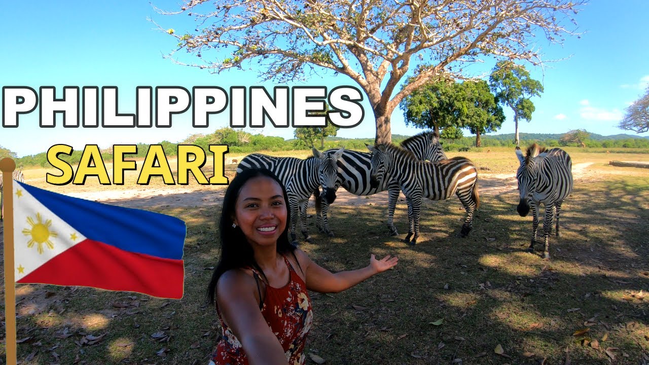 https://mdw-travel-data-us-east-1.s3.amazonaws.com/img/country/Philippines/Caluit-Safari-Park/img_01.jpg