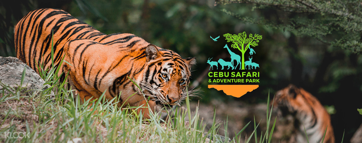 https://mdw-travel-data-us-east-1.s3.amazonaws.com/img/country/Philippines/Cebu-Safari-and-Adventure-Park/img_03.jpg