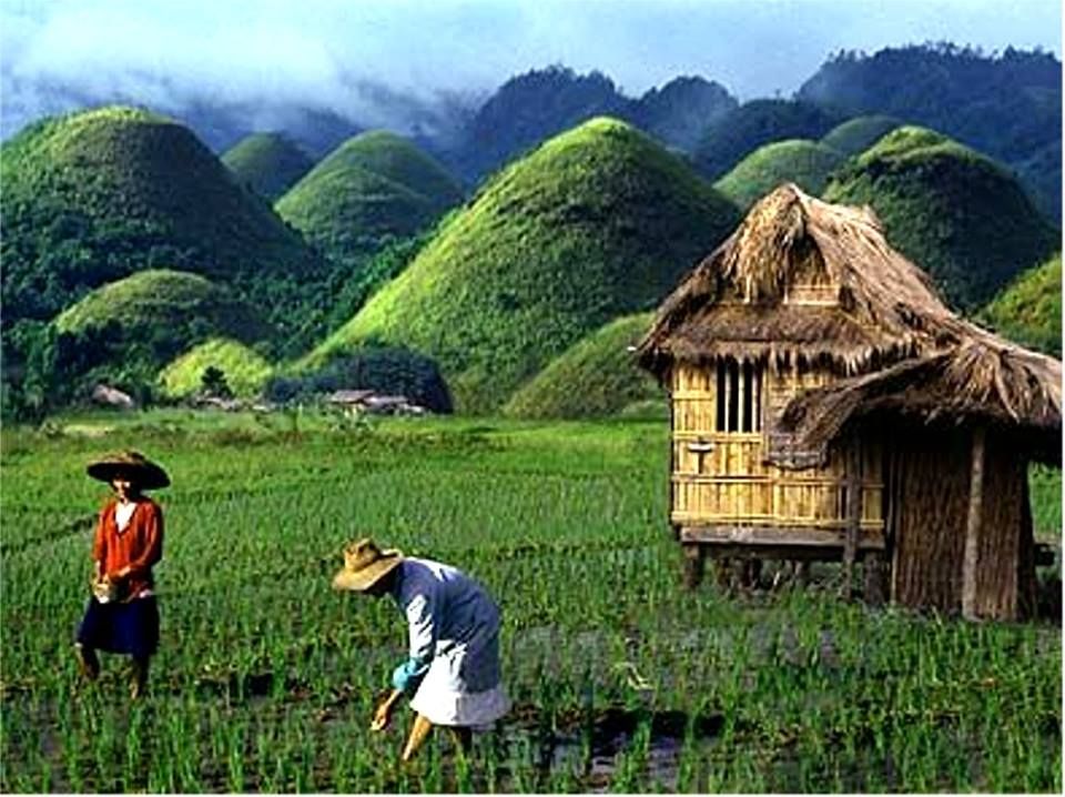 https://mdw-travel-data-us-east-1.s3.amazonaws.com/img/country/Philippines/Chocolate-Hills/img_03.jpg