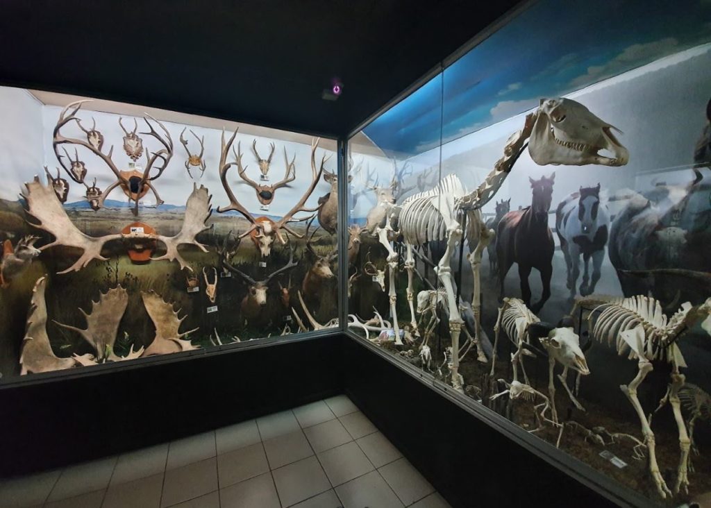 https://mdw-travel-data-us-east-1.s3.amazonaws.com/img/country/Philippines/D-Bone-Collector-Museum/img_01.jpg