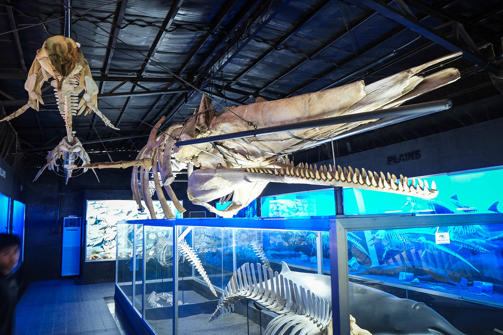 https://mdw-travel-data-us-east-1.s3.amazonaws.com/img/country/Philippines/D-Bone-Collector-Museum/img_02.jpg