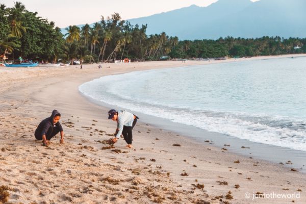 https://mdw-travel-data-us-east-1.s3.amazonaws.com/img/country/Philippines/Dahican-Beach/img_05.jpg