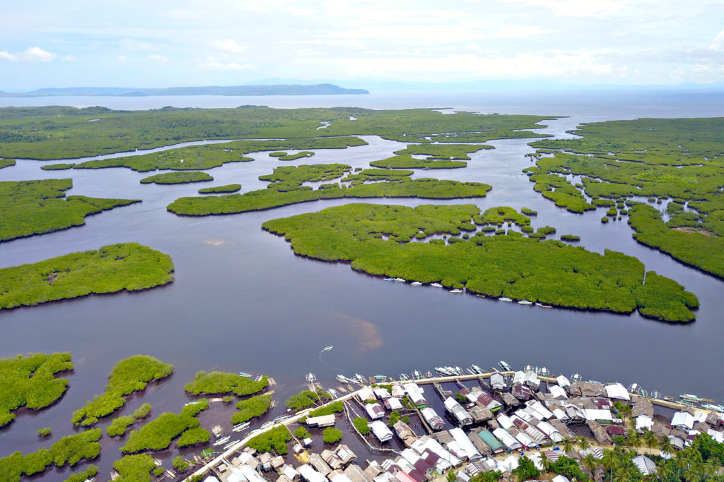 https://mdw-travel-data-us-east-1.s3.amazonaws.com/img/country/Philippines/Del-Carmen-Mangrove-Forest/img_00.jpg