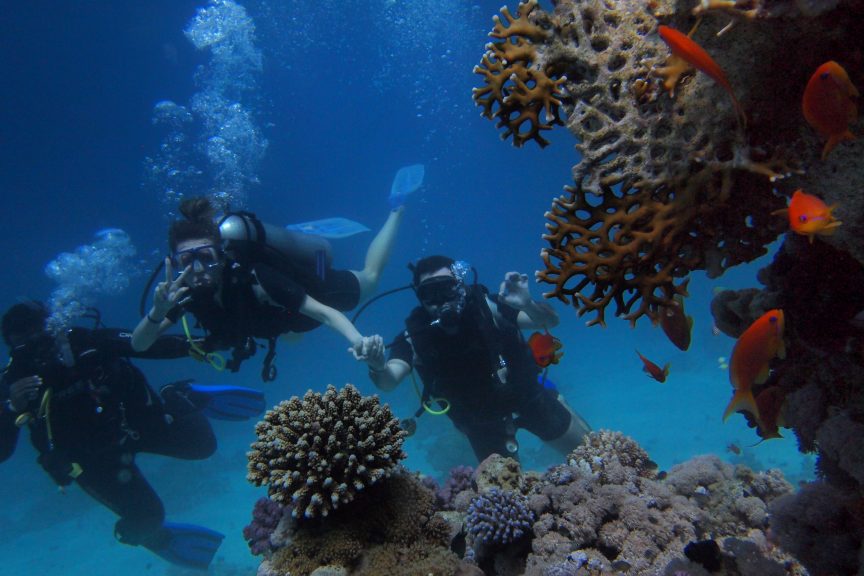 https://mdw-travel-data-us-east-1.s3.amazonaws.com/img/country/Philippines/Discovery-Scuba-Diving/img_03.jpg