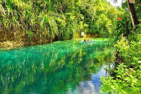 https://mdw-travel-data-us-east-1.s3.amazonaws.com/img/country/Philippines/Explore-the-Enchanted-River/img_03.jpg