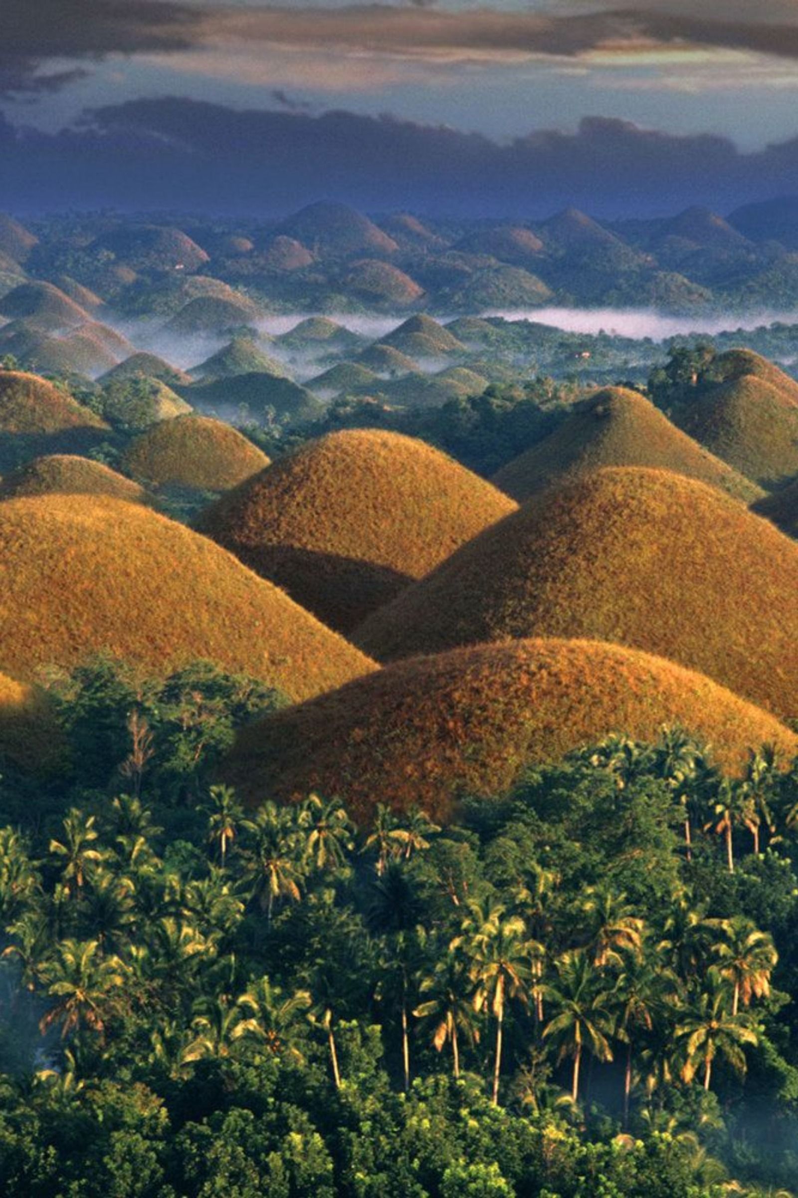 https://mdw-travel-data-us-east-1.s3.amazonaws.com/img/country/Philippines/Gogolango-Hills/img_02.jpg