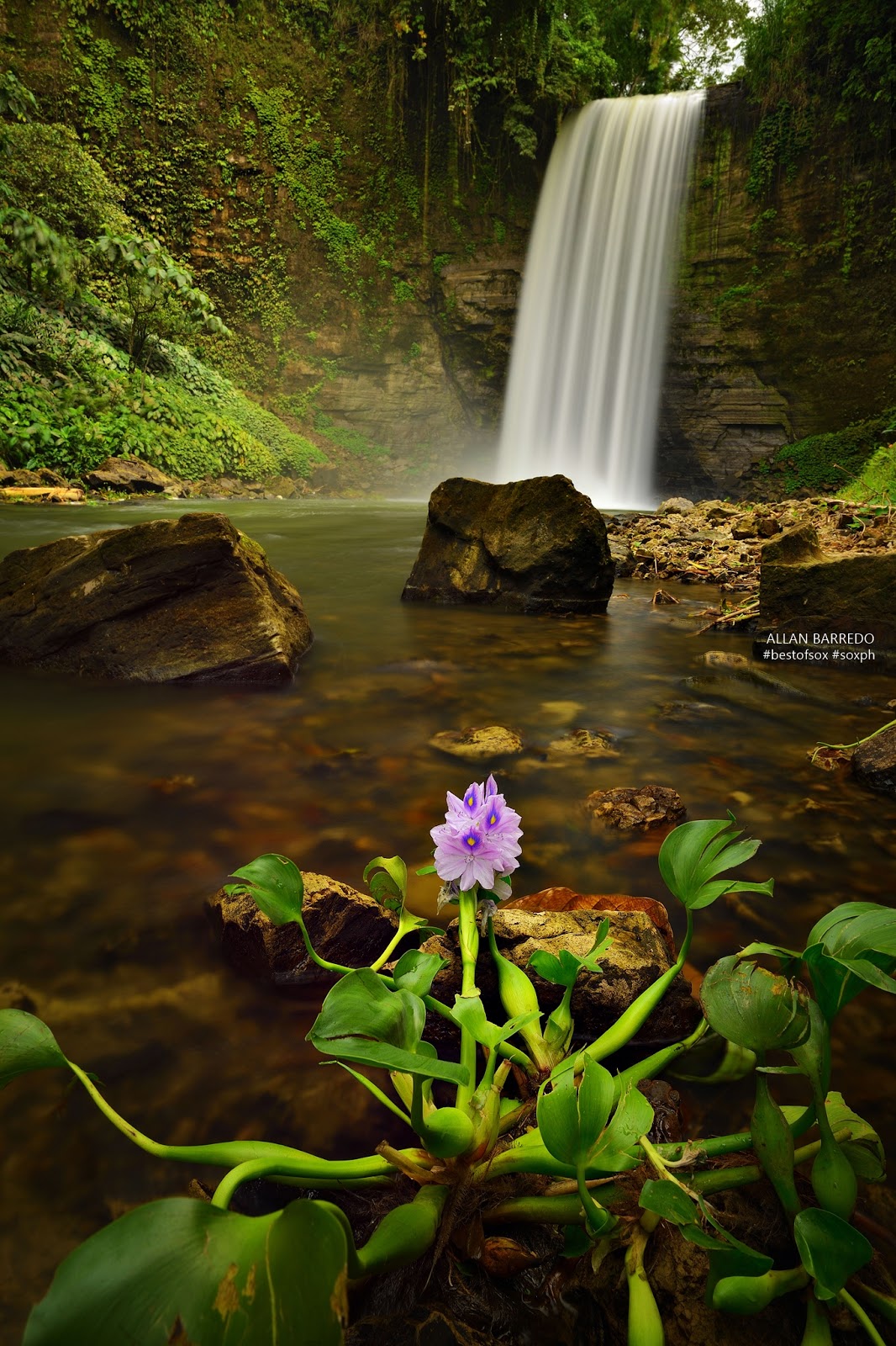 https://mdw-travel-data-us-east-1.s3.amazonaws.com/img/country/Philippines/Hikong-Bente-Falls/img_01.jpg