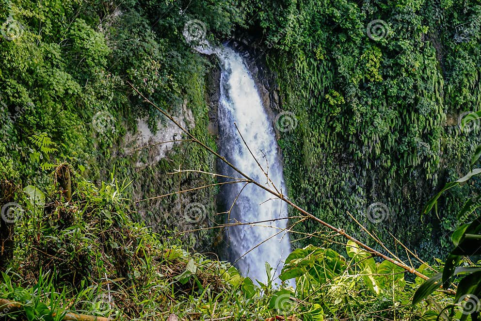 https://mdw-travel-data-us-east-1.s3.amazonaws.com/img/country/Philippines/Hikong-Bente-Falls/img_03.jpg