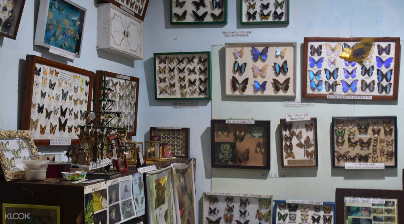 https://mdw-travel-data-us-east-1.s3.amazonaws.com/img/country/Philippines/Jumalon-Butterfly-Sanctuary/img_01.jpg
