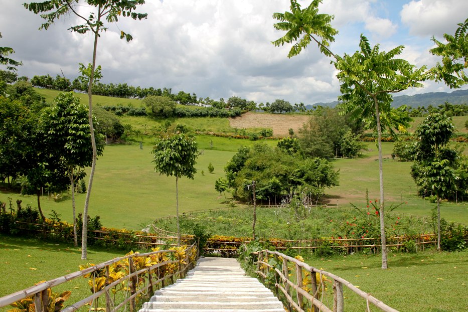 https://mdw-travel-data-us-east-1.s3.amazonaws.com/img/country/Philippines/Kawa-Kawa-Hill-and-Natural-Park/img_01.jpg