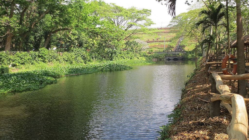 https://mdw-travel-data-us-east-1.s3.amazonaws.com/img/country/Philippines/La-Mesa-Watershed/img_03.jpg