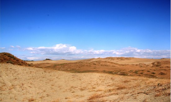 https://mdw-travel-data-us-east-1.s3.amazonaws.com/img/country/Philippines/La-Paz-Sand-Dunes/img_03.jpg