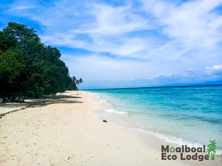 https://mdw-travel-data-us-east-1.s3.amazonaws.com/img/country/Philippines/Lambug-Beach/img_03.jpg