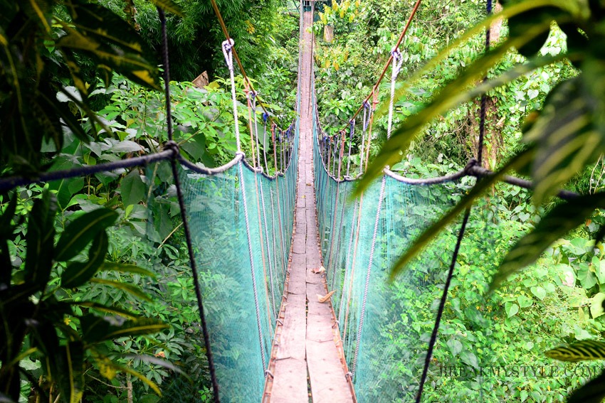 https://mdw-travel-data-us-east-1.s3.amazonaws.com/img/country/Philippines/Macahambus-Adventure-Park/img_01.jpg