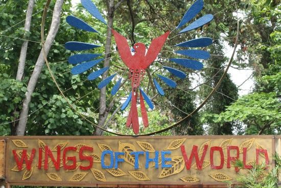 https://mdw-travel-data-us-east-1.s3.amazonaws.com/img/country/Philippines/Magaul-Bird-Park/img_02.jpg