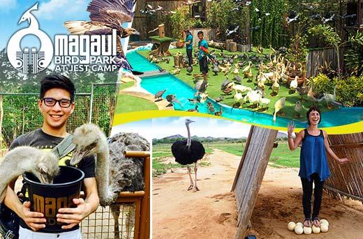 https://mdw-travel-data-us-east-1.s3.amazonaws.com/img/country/Philippines/Magaul-Bird-Park/img_03.jpg