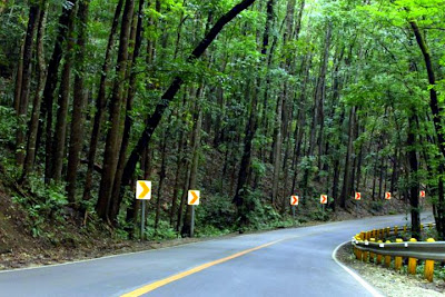 https://mdw-travel-data-us-east-1.s3.amazonaws.com/img/country/Philippines/Man-made-Forest/img_02.jpg