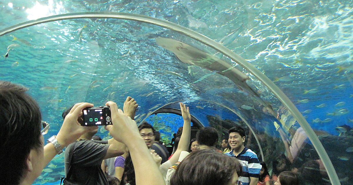 https://mdw-travel-data-us-east-1.s3.amazonaws.com/img/country/Philippines/Manila-Ocean-Park/img_01.jpg