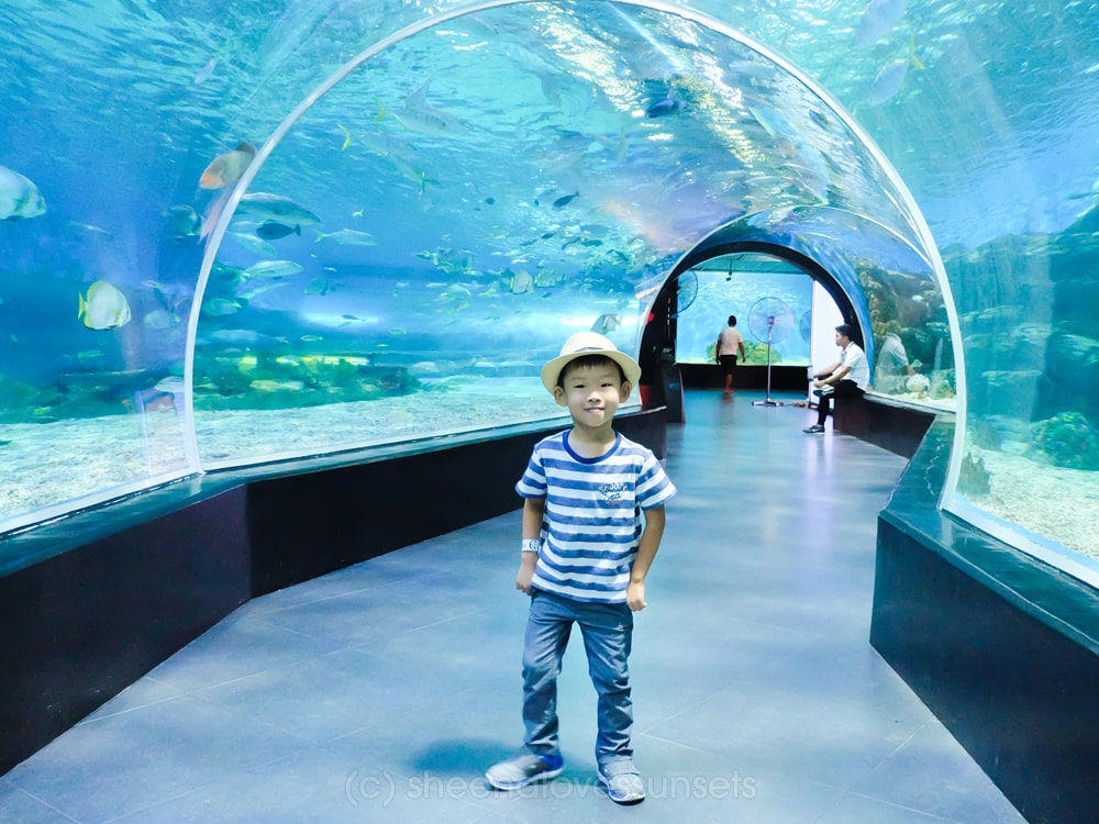 https://mdw-travel-data-us-east-1.s3.amazonaws.com/img/country/Philippines/Manila-Ocean-Park/img_02.jpg