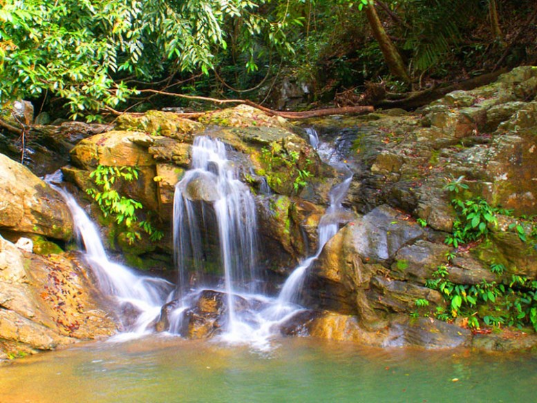 https://mdw-travel-data-us-east-1.s3.amazonaws.com/img/country/Philippines/Mapawa-Nature-Park/img_02.jpg