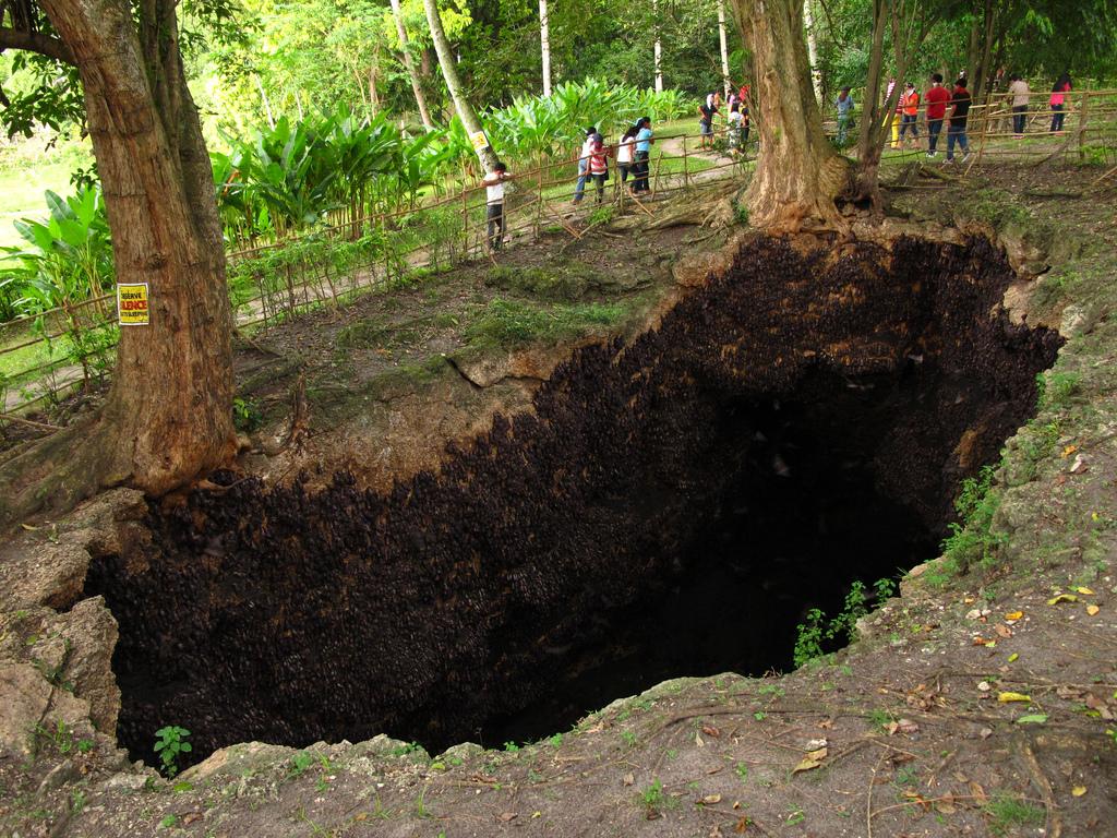 https://mdw-travel-data-us-east-1.s3.amazonaws.com/img/country/Philippines/Monfort-Bat-Sanctuary/img_00.jpg