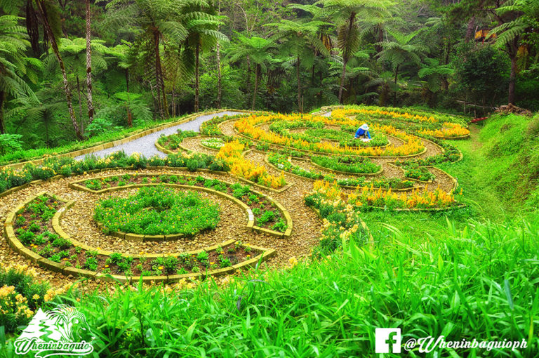 https://mdw-travel-data-us-east-1.s3.amazonaws.com/img/country/Philippines/Mount-Costa/img_00.jpg
