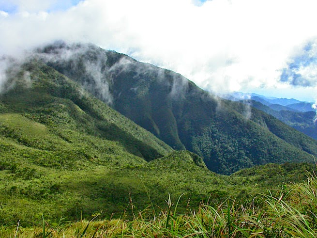 https://mdw-travel-data-us-east-1.s3.amazonaws.com/img/country/Philippines/Mount-Hamiguitan-Range-Wildlife-Sanctuary/img_05.jpg