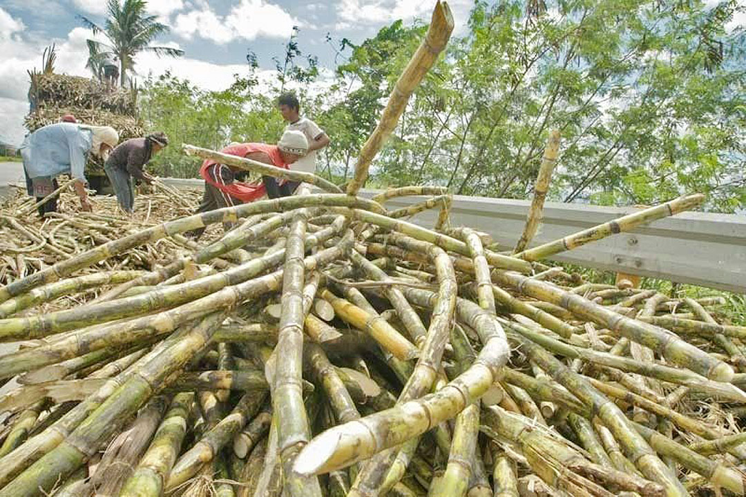 https://mdw-travel-data-us-east-1.s3.amazonaws.com/img/country/Philippines/Negros-Sugar-Museum/img_02.jpg