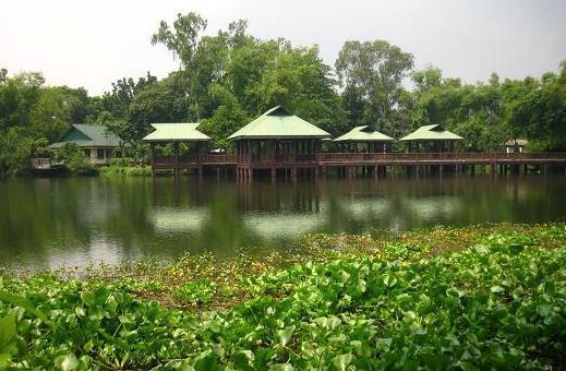 https://mdw-travel-data-us-east-1.s3.amazonaws.com/img/country/Philippines/Ninoy-Aquino-Parks-and-Wildlife-Center/img_01.jpg