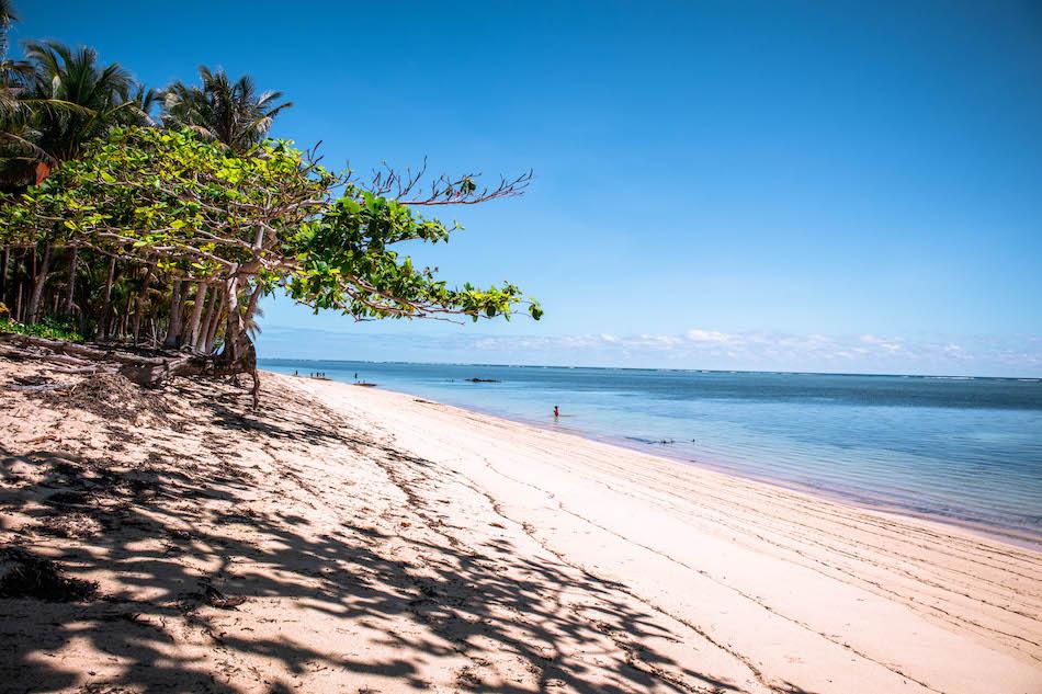 https://mdw-travel-data-us-east-1.s3.amazonaws.com/img/country/Philippines/Pacifico-Beach/img_02.jpg