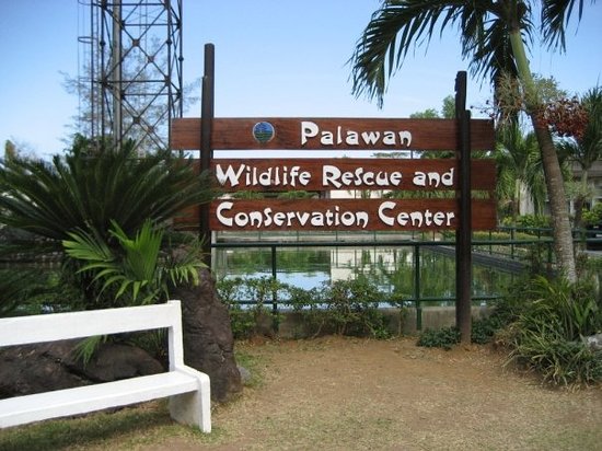 https://mdw-travel-data-us-east-1.s3.amazonaws.com/img/country/Philippines/Palawan-Wildlife-Rescue-and-Conservation-Center/img_03.jpg