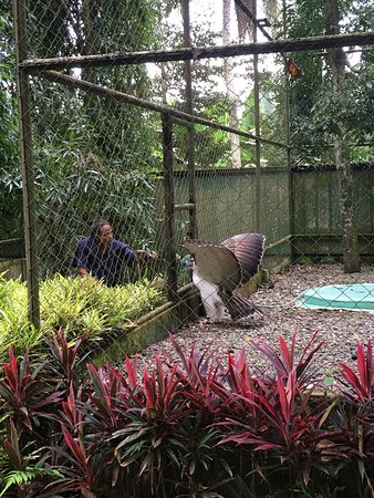 https://mdw-travel-data-us-east-1.s3.amazonaws.com/img/country/Philippines/Philippine-Eagle-Center/img_01.jpg