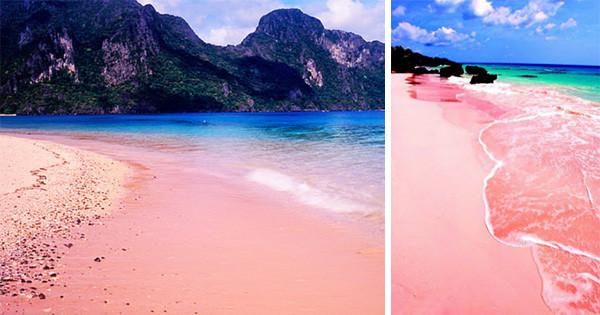 https://mdw-travel-data-us-east-1.s3.amazonaws.com/img/country/Philippines/Pink-Sand-Beach/img_02.jpg