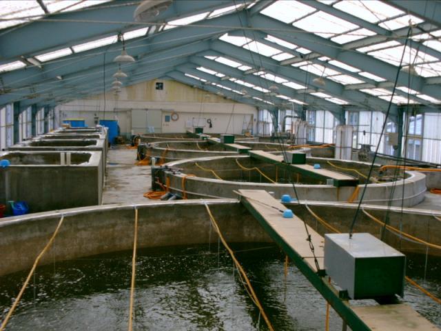 https://mdw-travel-data-us-east-1.s3.amazonaws.com/img/country/Philippines/Reina-Regente-Shrimp-Hatchery/img_03.jpg