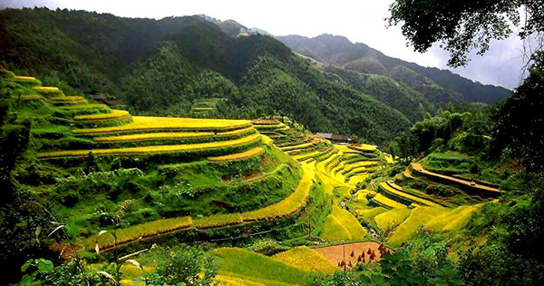 https://mdw-travel-data-us-east-1.s3.amazonaws.com/img/country/Philippines/Sagada/img_01.jpg