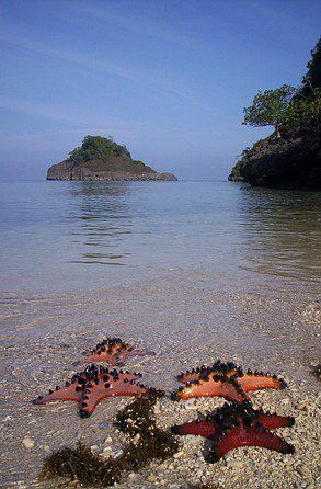 https://mdw-travel-data-us-east-1.s3.amazonaws.com/img/country/Philippines/Sagay-Marine-Reserve/img_02.jpg