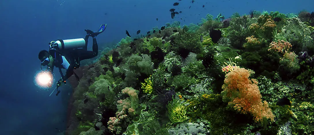 https://mdw-travel-data-us-east-1.s3.amazonaws.com/img/country/Philippines/Scuba-Tech-Philippines/img_03.jpg