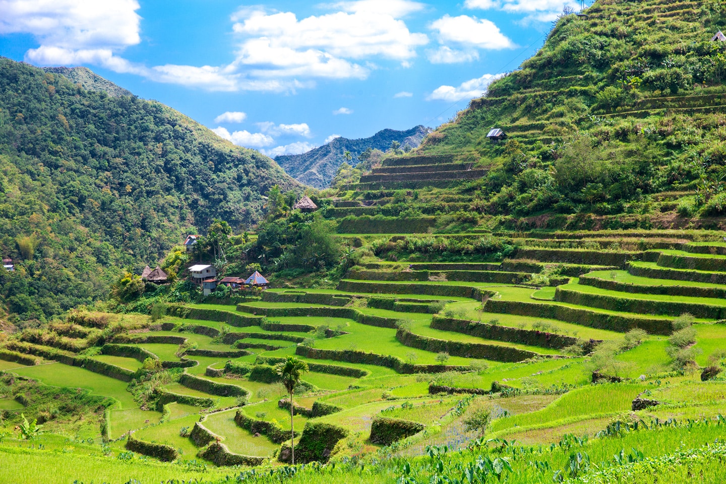 https://mdw-travel-data-us-east-1.s3.amazonaws.com/img/country/Philippines/Sky-Eye/img_03.jpg