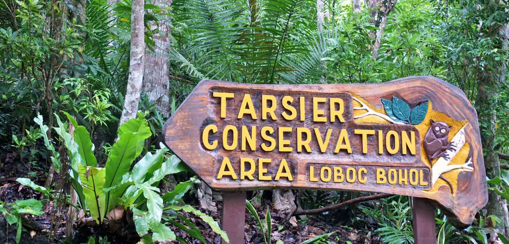 https://mdw-travel-data-us-east-1.s3.amazonaws.com/img/country/Philippines/Tarsier-Conservation-Area/img_02.jpg
