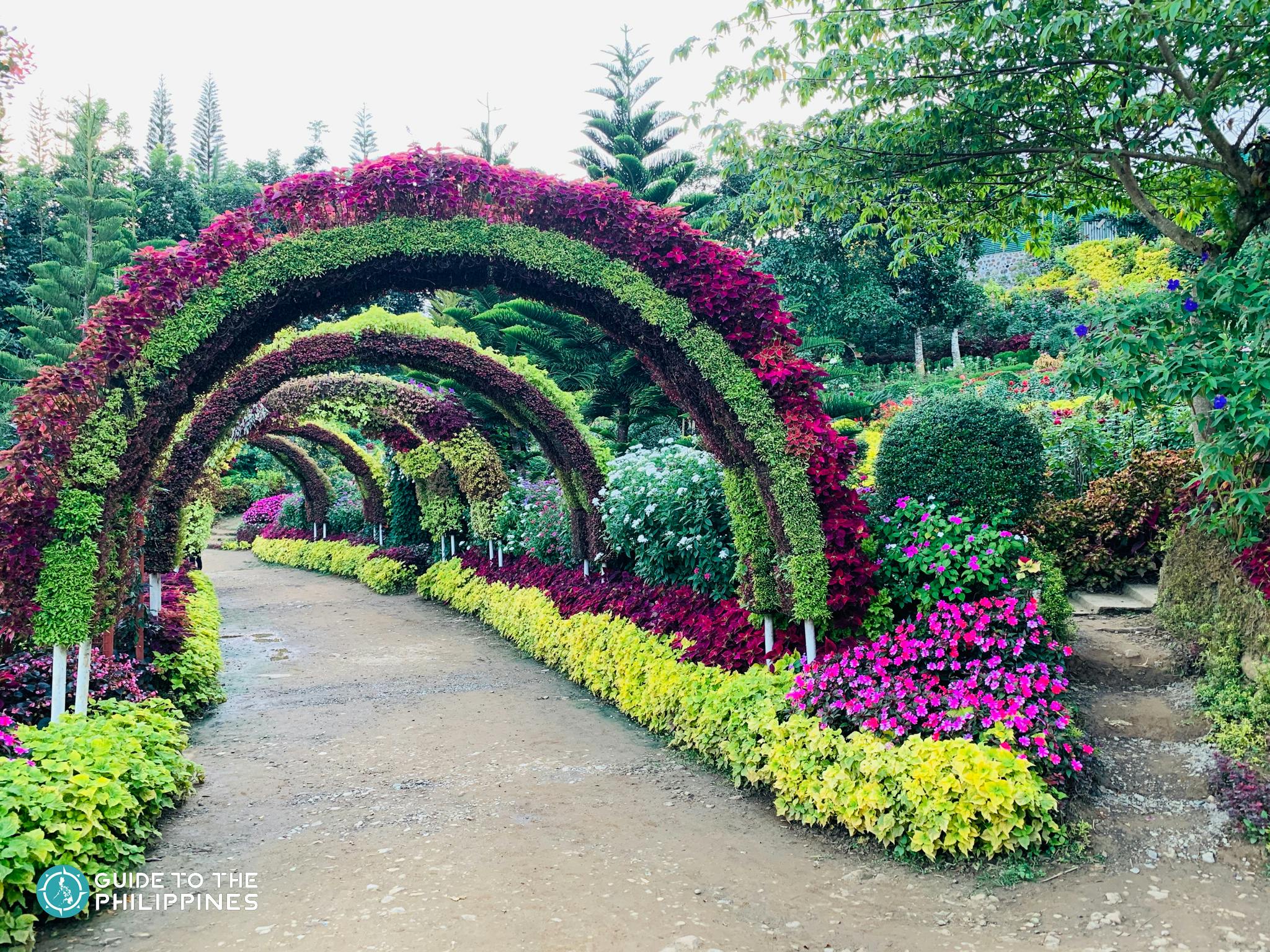 https://mdw-travel-data-us-east-1.s3.amazonaws.com/img/country/Philippines/The-Flower-Farm/img_00.jpg