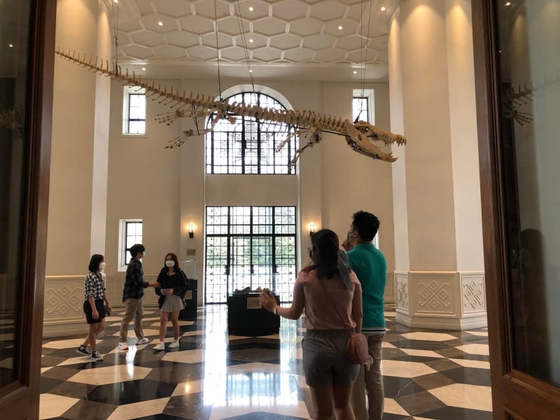 https://mdw-travel-data-us-east-1.s3.amazonaws.com/img/country/Philippines/The-Museum-of-Philippine-Sillimaniana-Foundation/img_03.jpg