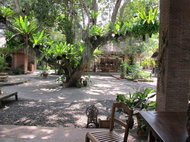 https://mdw-travel-data-us-east-1.s3.amazonaws.com/img/country/Philippines/Tiaong-Quezon/img_02.jpg